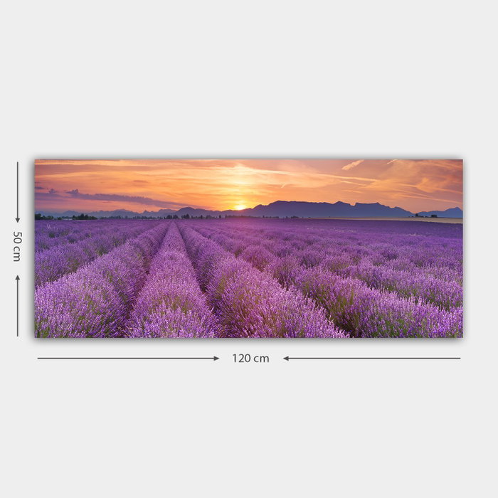 Wallity Lienzo Decorativo Multicolor 50 x 120 cm